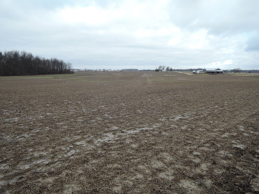 LAND AUCTION - 260+/- ACRES IN 7 TRACTS IN BLACKFORD CO., INDIANA
